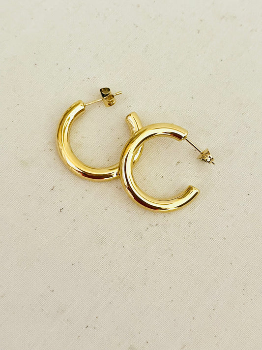 Gold Earrings 2